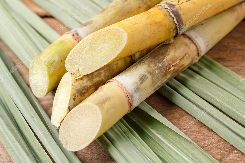 The Sweet Skin Benefits of Sugarcane Extract